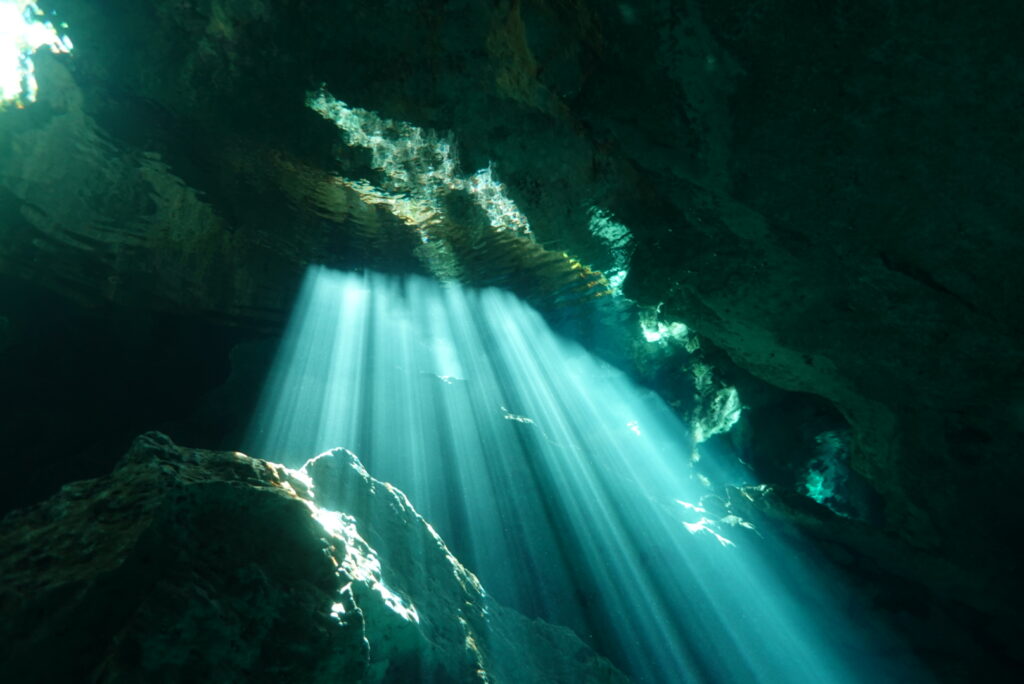 Dive Cenote Mexico uses the best cenote dive sites in the Riviera Maya.