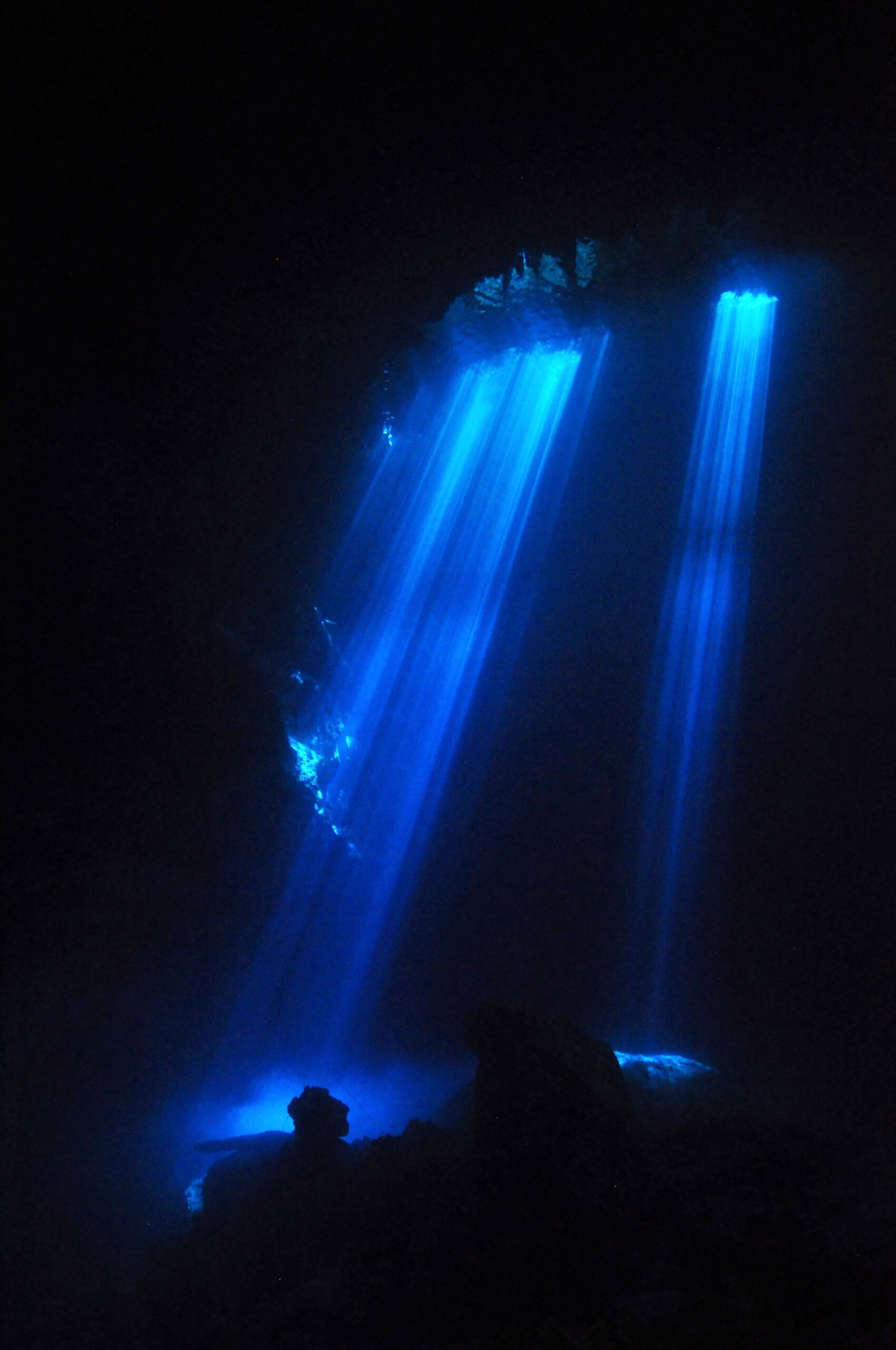 Cenote diving in The Pit, one of the most spectacular cenote dive in the world