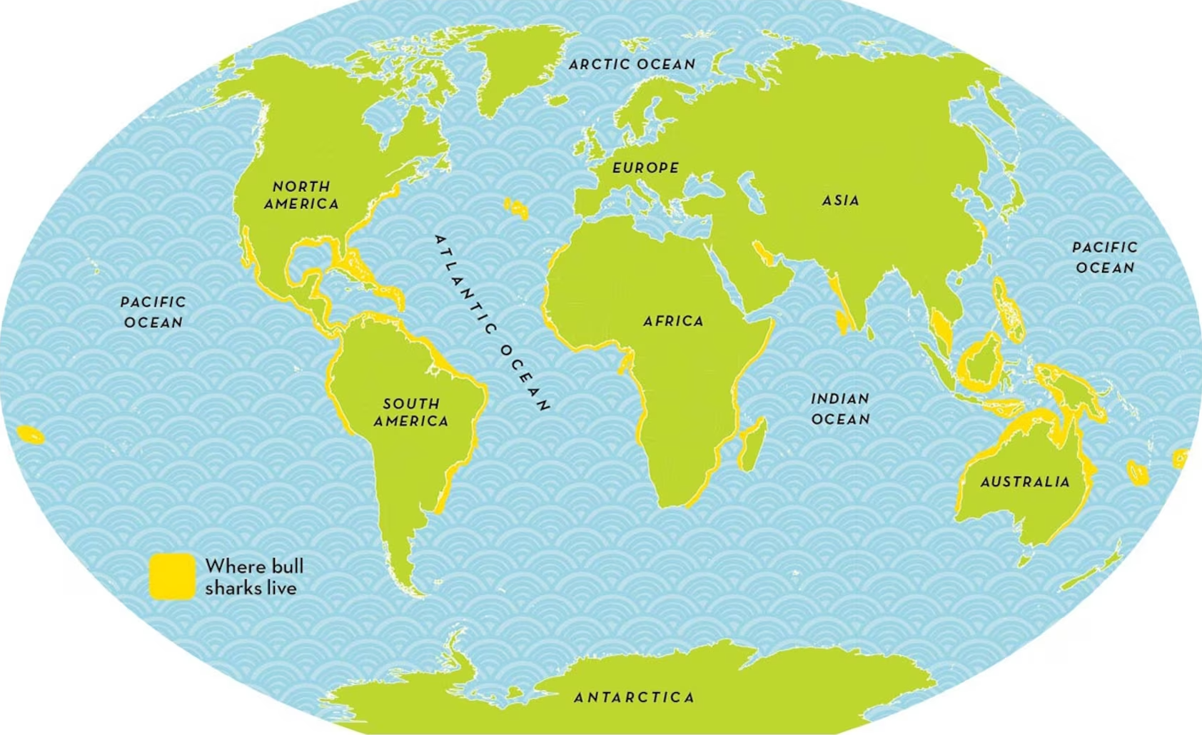 Map National Geographics showing whre bull sharks live throughout the world.