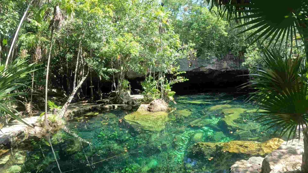 Cenote Chikin Ha | A Dive Into Xibalba, The Mayan Underworld!