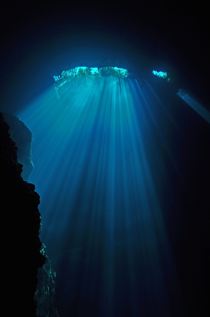 Beautiful sun rays penetrating the cenote all the way down to the bottom of the cenote