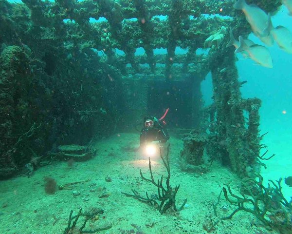 Diver enjoying the beautiful corals and fish on the deck of the C-56 Wreck in Puerto Morelos