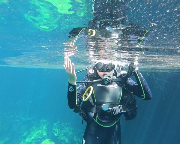 Cenote diving in Casa Cenote