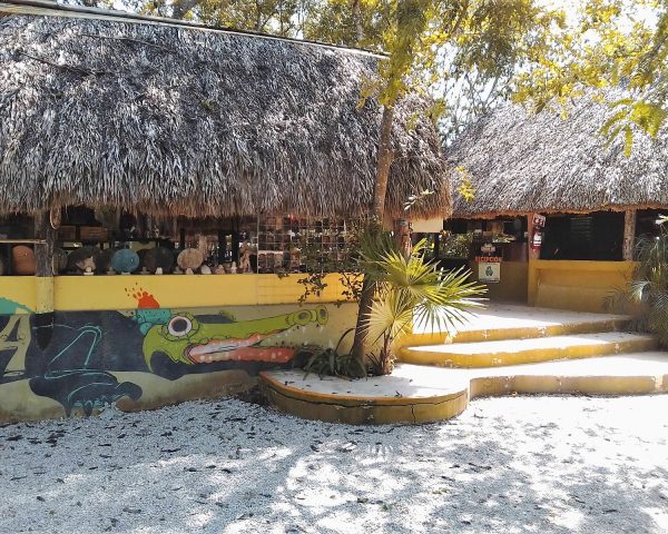 Reception of Cenote Chikin Ha