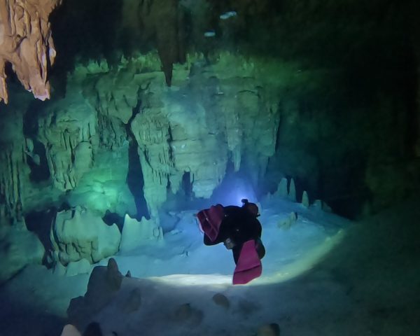 Massive formations in Cenote Taak Bi Luum