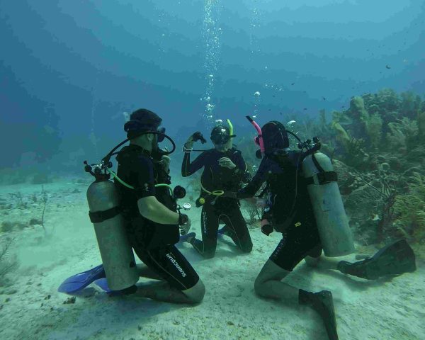 Divers performing underwater skills during the certification open water dive.
